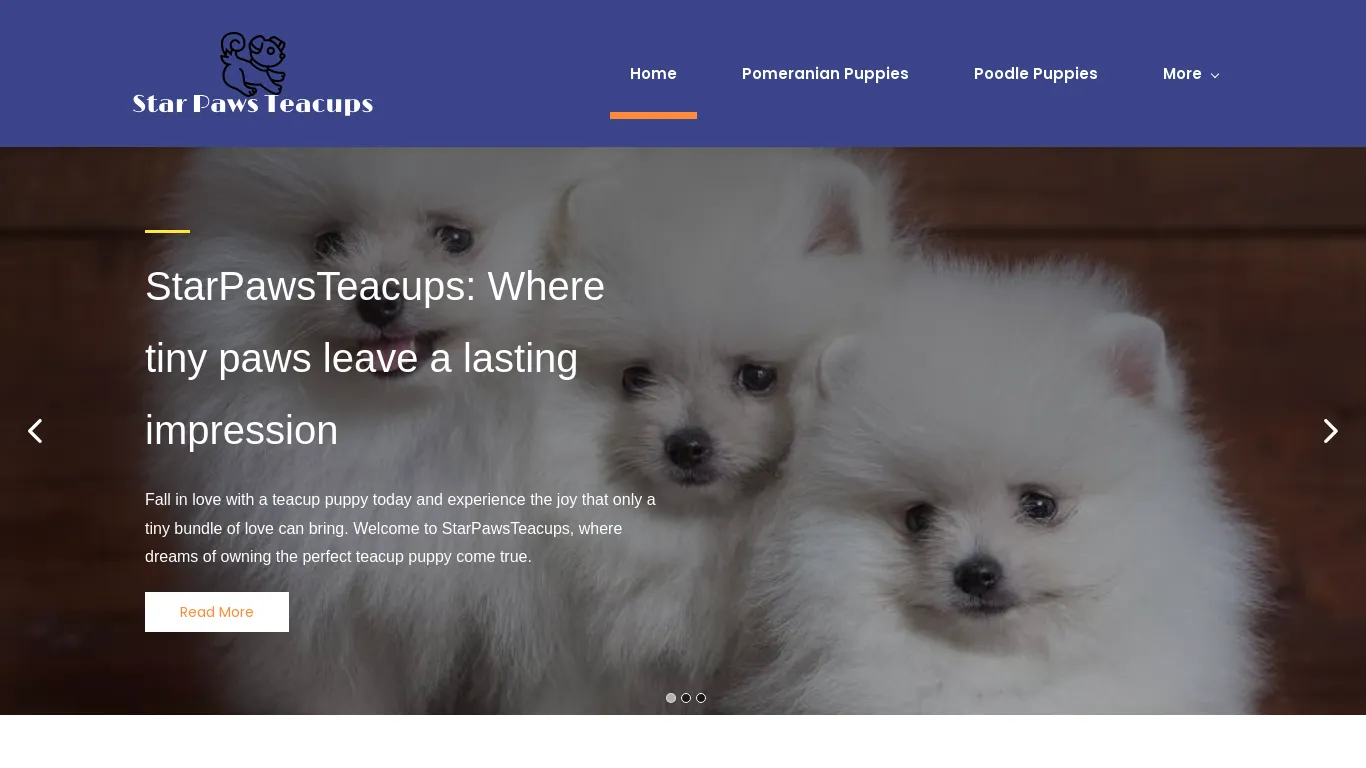 is starpawsteacups.com legit? screenshot