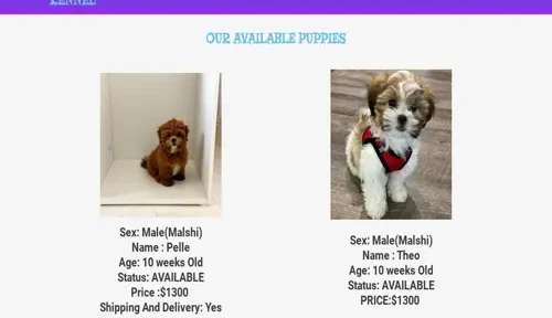 A screenshot of Genlanfamilystbernard.com