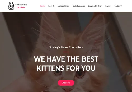 is stmarysmainecoonpets.online legit? screenshot