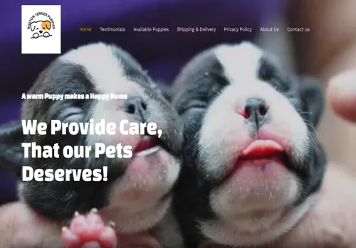 is stuartbostonterrierpethome.com legit? screenshot