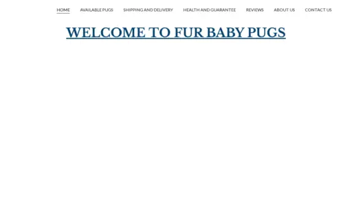 A screenshot of Studepugs.com