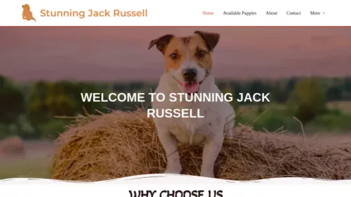 A screenshot of Stunningjackrussellshome.com