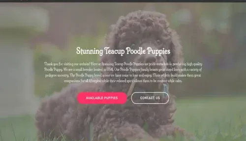 A screenshot of Genlanfamilystbernard.com