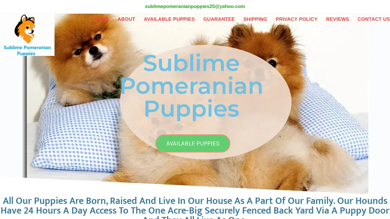 is sublimepomeranianpuppies.com legit? screenshot