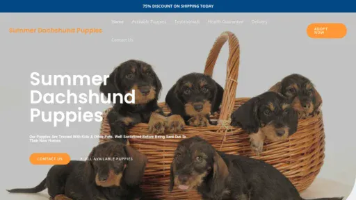 A screenshot of Summerdachshundpuppies.com