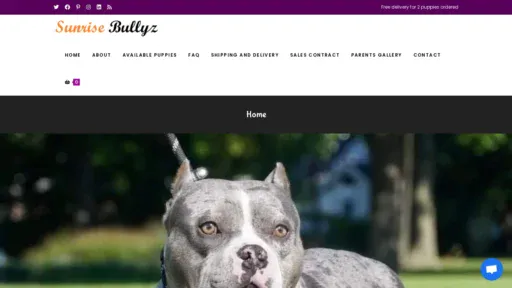 A screenshot of Sunrisebullyz.shop