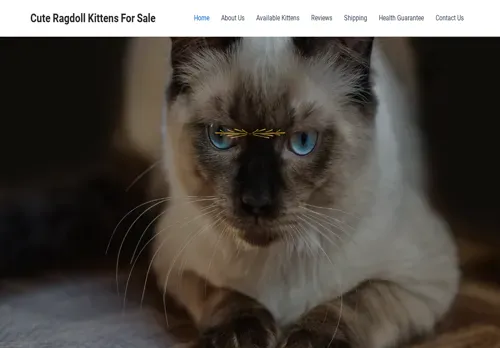 is sunriseragdollcattery.com legit? screenshot