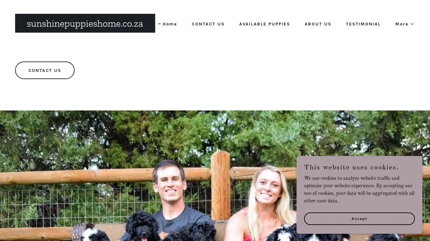 is sunshinepuppieshome.co.za legit? screenshot