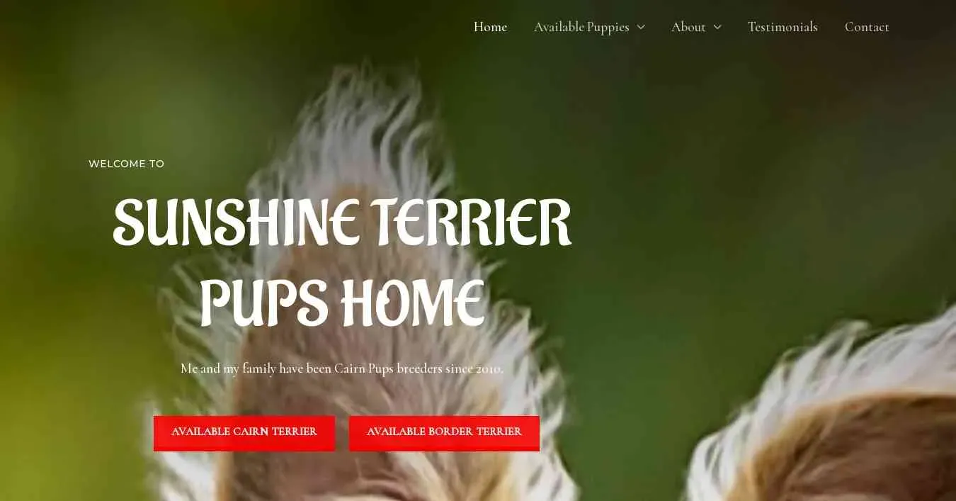 is sunshineterrierpupshome.com legit? screenshot