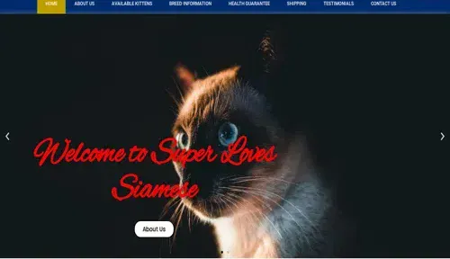 A screenshot of Genlanfamilystbernard.com