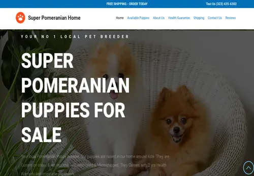 is superpomeranianhome.com legit? screenshot