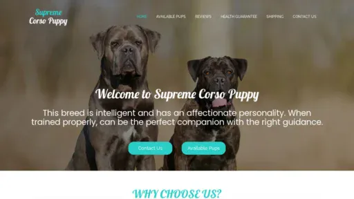 A screenshot of Supremecorsopuppy.com