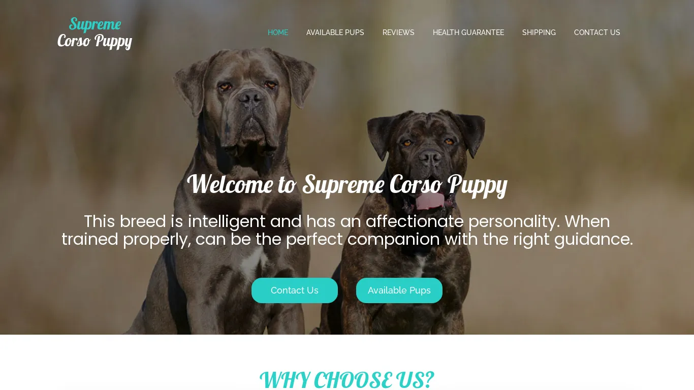 is supremecorsopuppy.com legit? screenshot