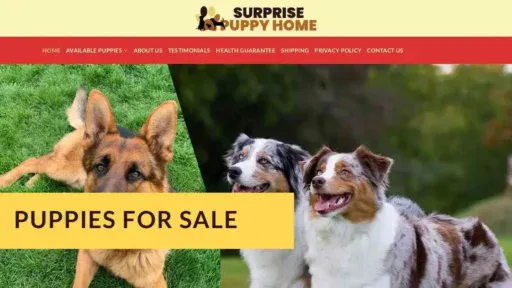 A screenshot of Genlanfamilystbernard.com