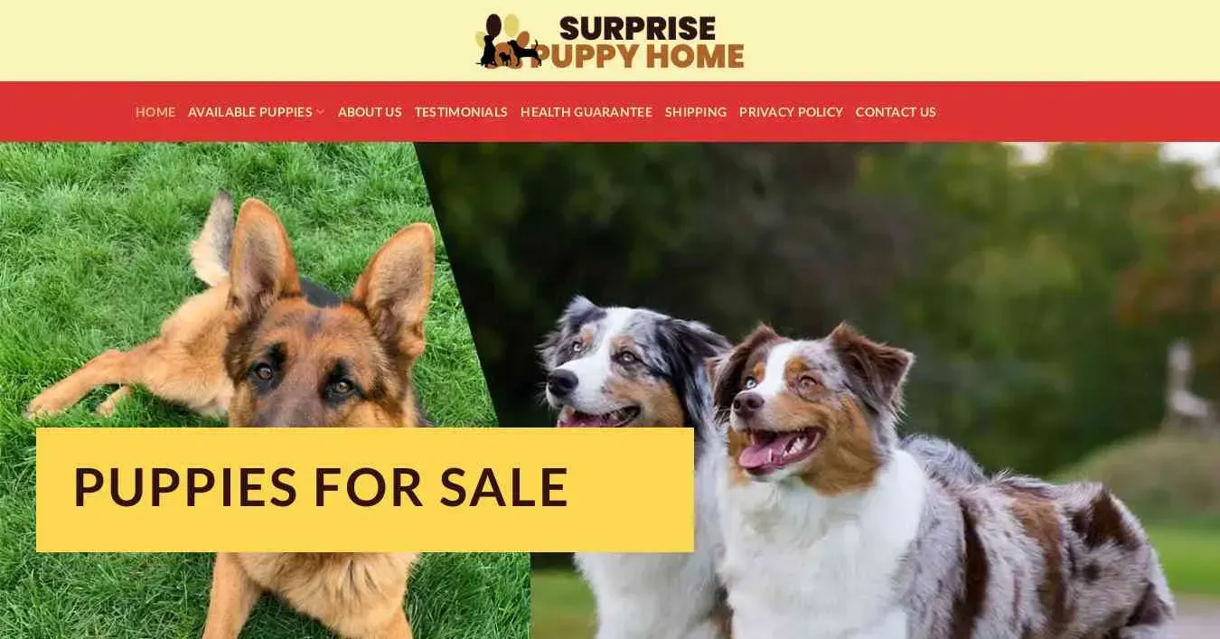 is surprisepuppyhome.com legit? screenshot