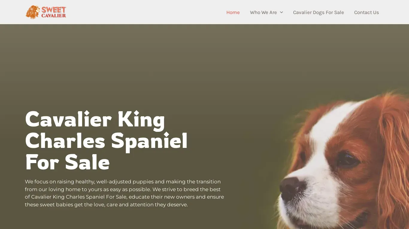 is Cavalier King Charles Spaniel For Sale - Affordable Puppies legit? screenshot