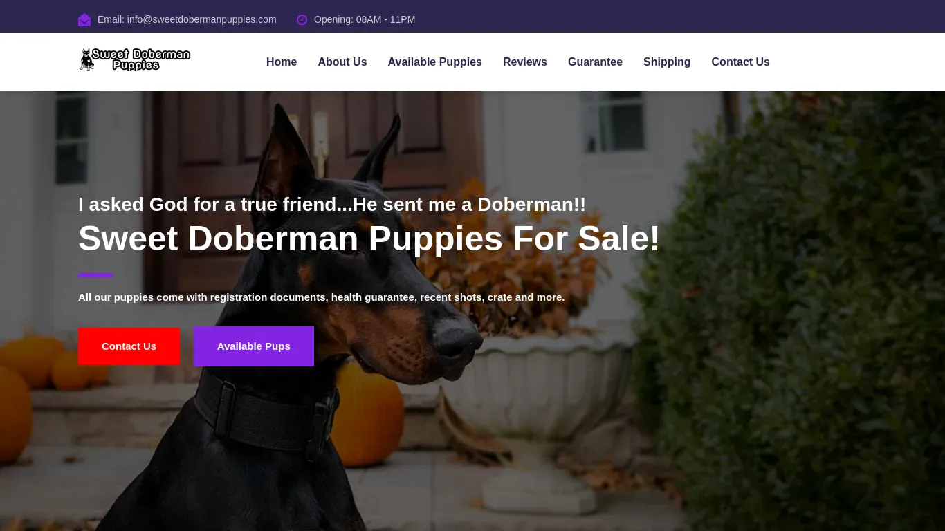 is sweetdobermanpuppies.com legit? screenshot