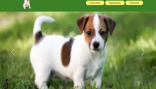 A screenshot of Genlanfamilystbernard.com