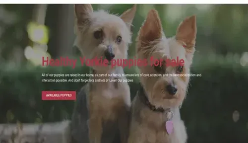 A screenshot of Genlanfamilystbernard.com