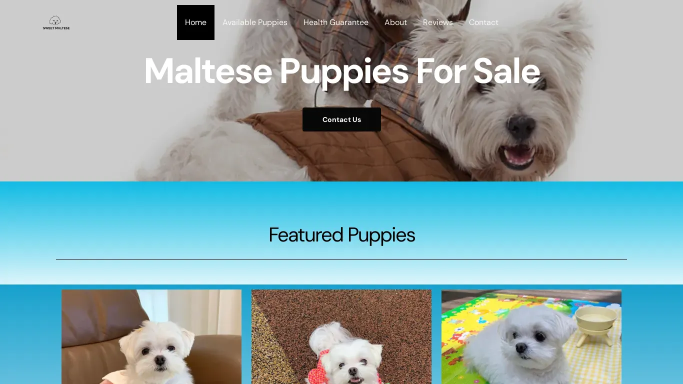 is sweetmaltese.com legit? screenshot