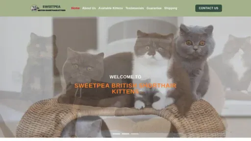 A screenshot of Sweetpeabritishshorthairkittens.com