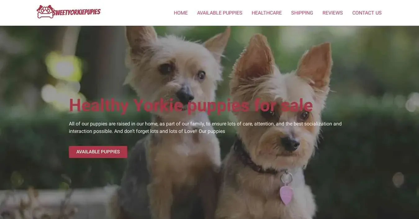 is sweetyorkiepupies.com legit? screenshot