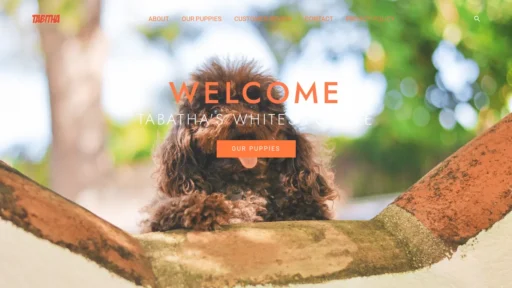 A screenshot of Tabathapoodlepuppies.online