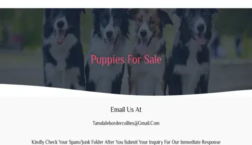 A screenshot of Genlanfamilystbernard.com
