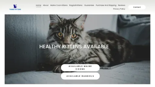 A screenshot of Tammymainecoons.com