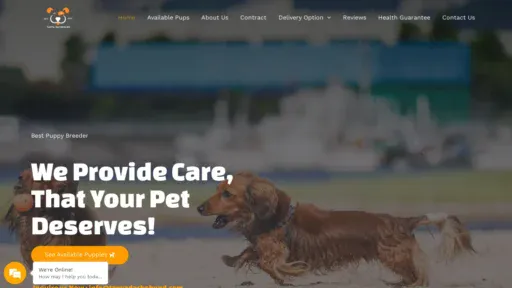 A screenshot of Tanyadachshund.com