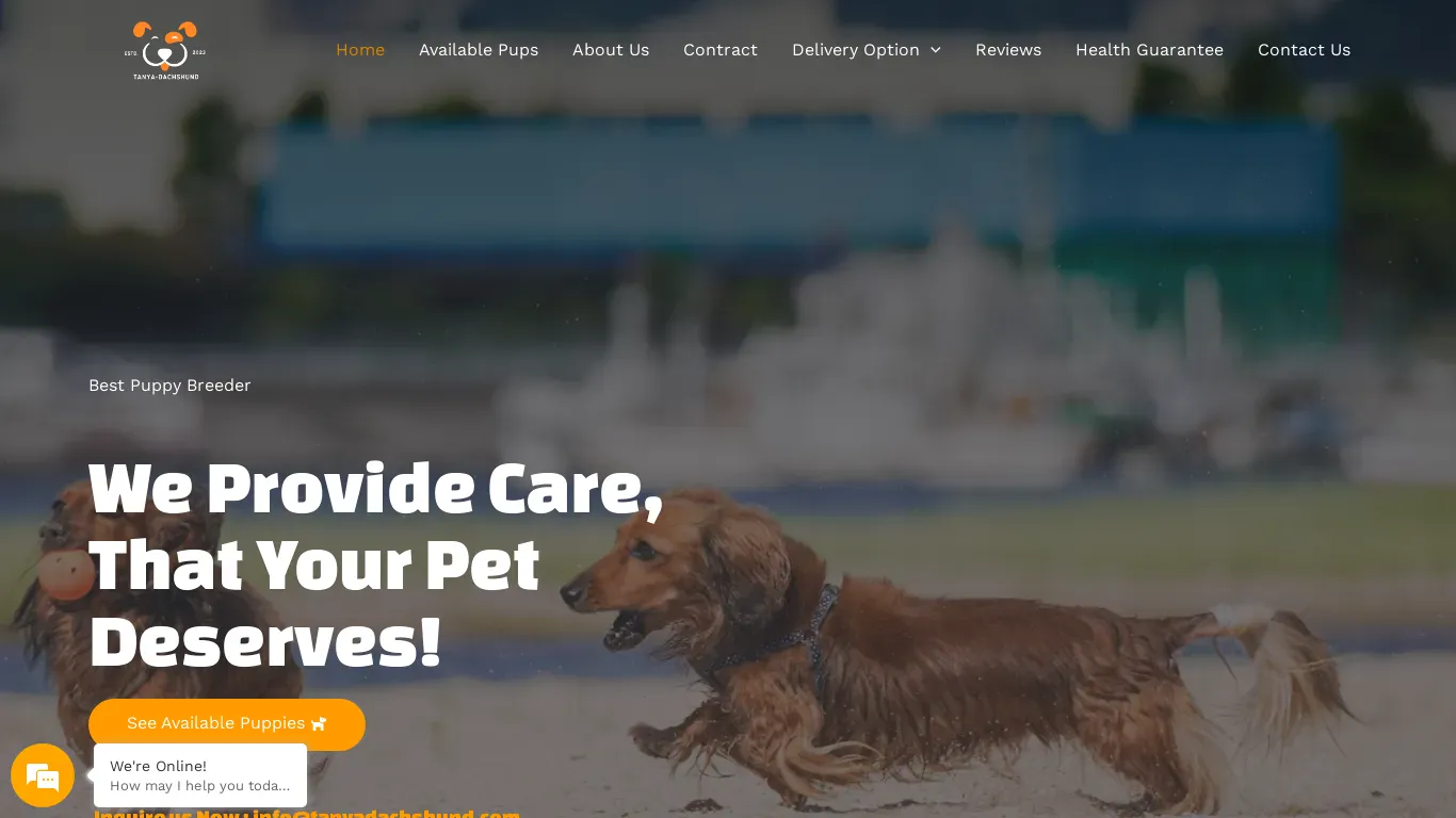 is Tanya Dachshund – Pups for sale legit? screenshot