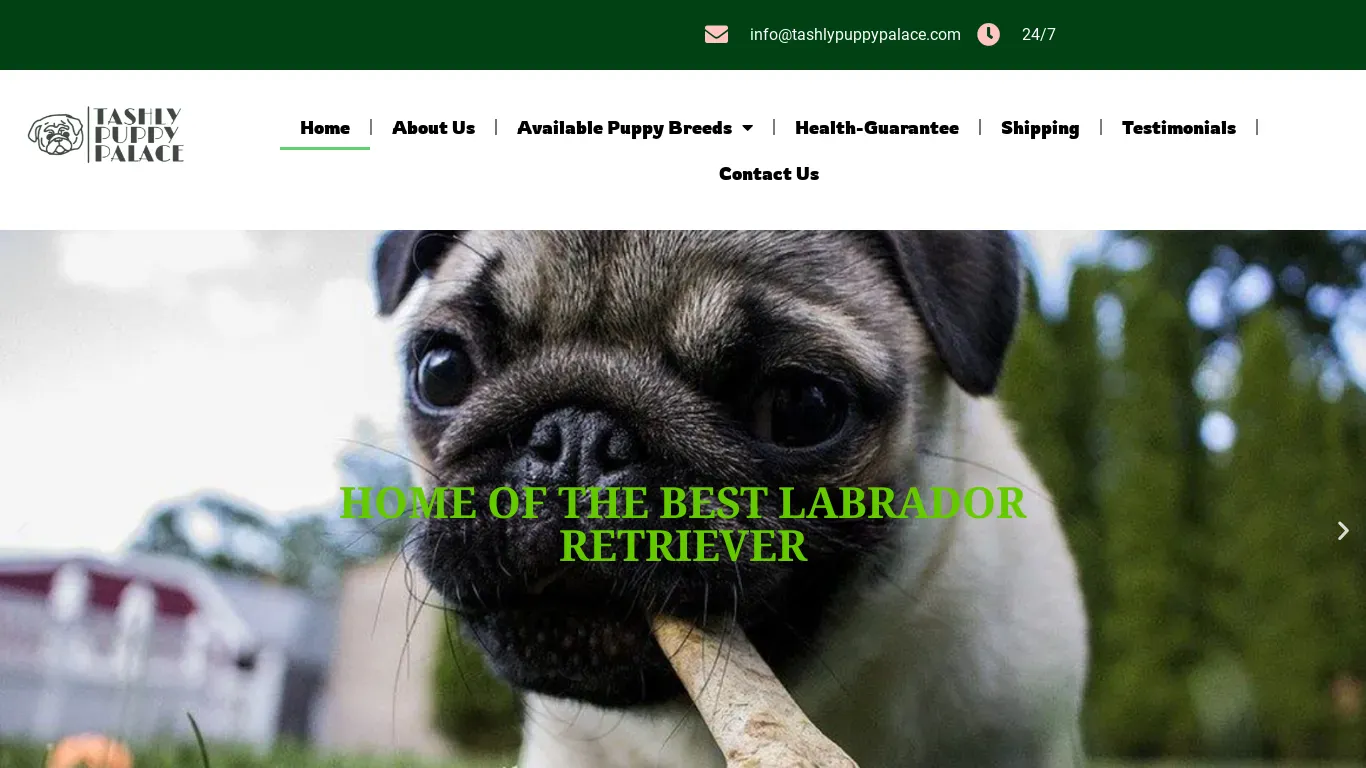 is tashlypuppypalace.com legit? screenshot