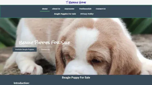 A screenshot of Tbeaglehome.shop