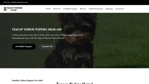 A screenshot of Tcyorkieshome.com