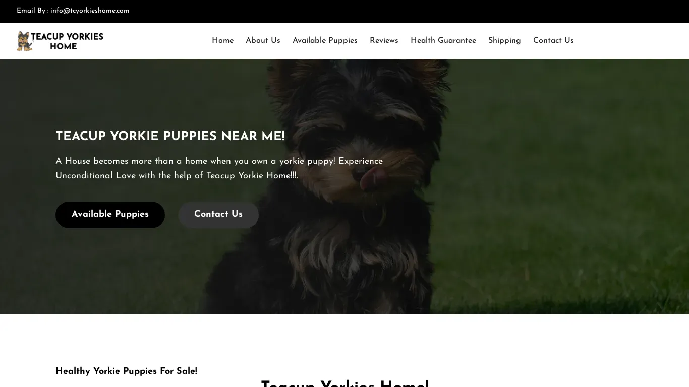 is tcyorkieshome.com legit? screenshot