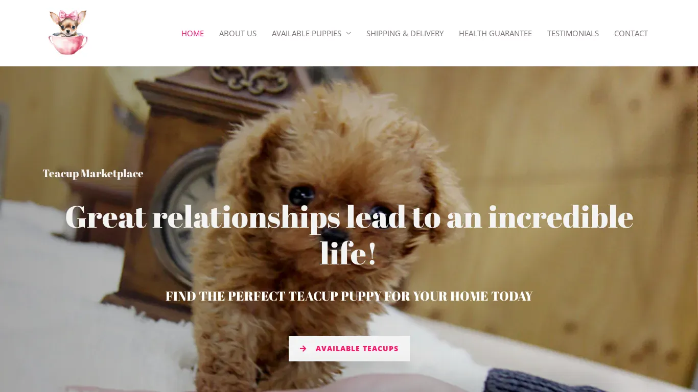 is Teacup Marketplace legit? screenshot