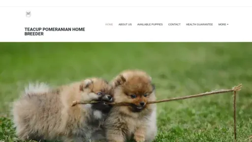 A screenshot of Teacuppomeranianhomebreeder.com