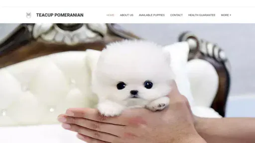 A screenshot of Teacuppomeranianshelter.com