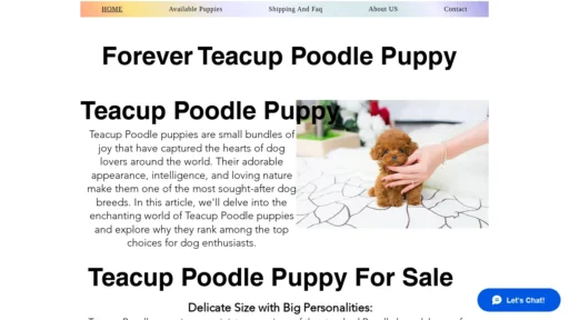 A screenshot of Teacuppoodlepuppy.com