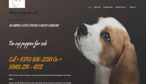A screenshot of Genlanfamilystbernard.com