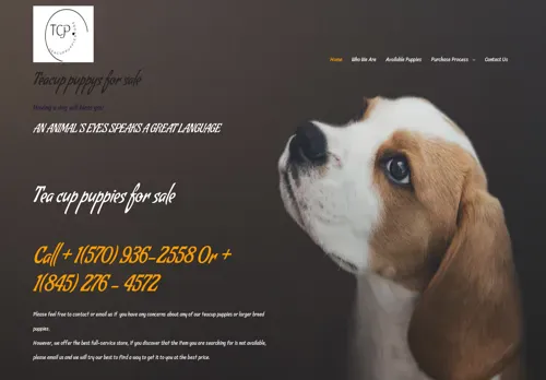 is teacuppuppiestore.com legit? screenshot