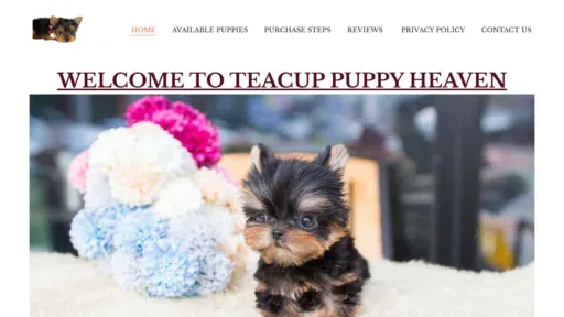 A screenshot of Teacuppuppyheaven.com