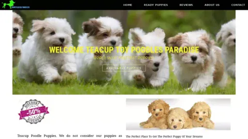 Screenshot of|