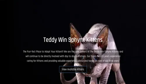 A screenshot of Genlanfamilystbernard.com