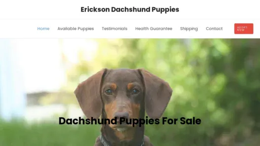 A screenshot of Terrelldachshundpuppies.com