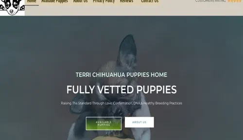 A screenshot of Genlanfamilystbernard.com