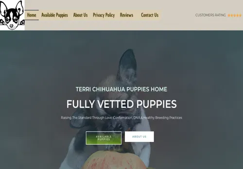 is terrichihuahuapups.com legit? screenshot