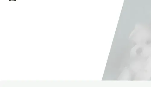 A screenshot of Genlanfamilystbernard.com