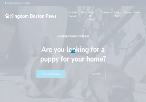 is thebostonpaws.com legit? screenshot