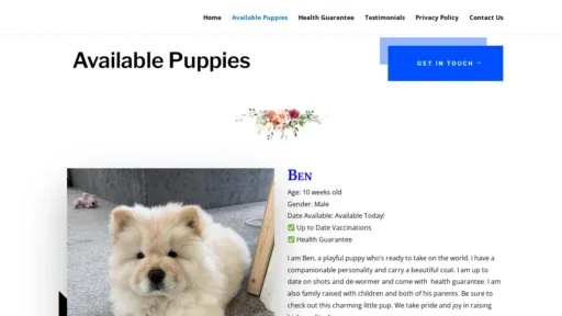 A screenshot of Thechampchows.com